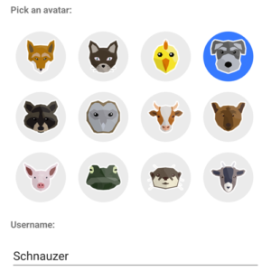 avatar selection